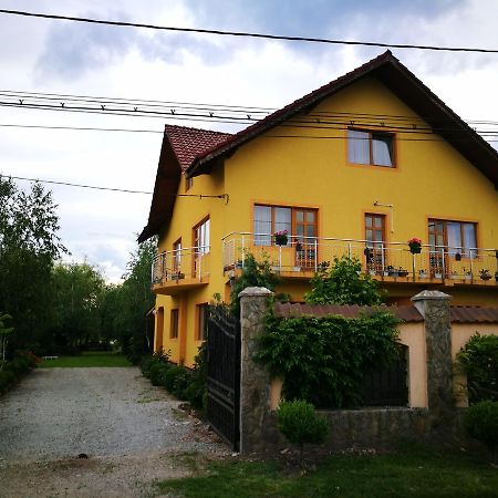 Pensiunea Ramona Cărpinişu Exteriör bild