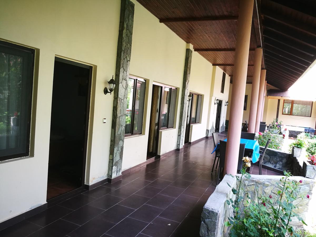 Pensiunea Ramona Cărpinişu Exteriör bild