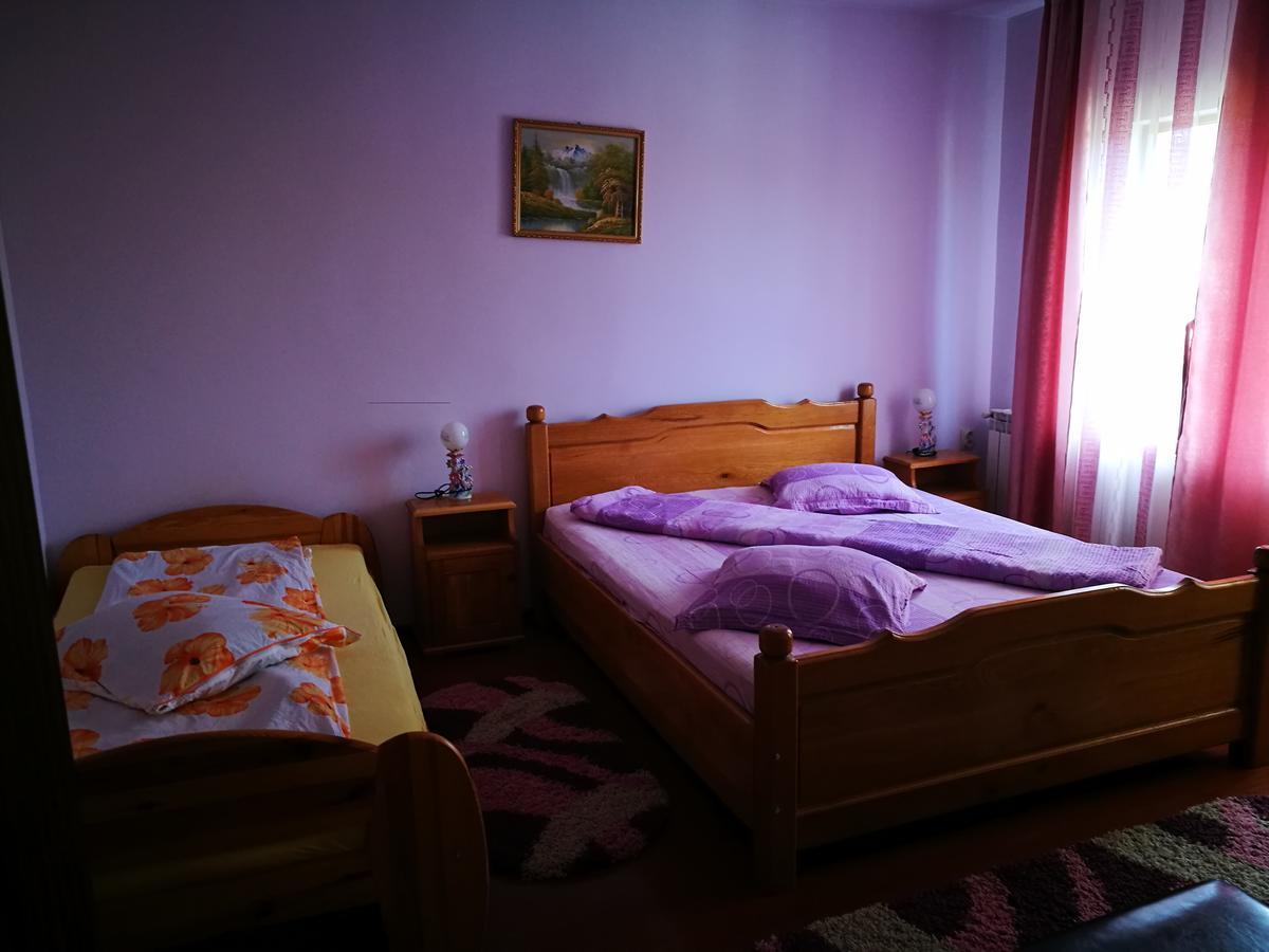 Pensiunea Ramona Cărpinişu Exteriör bild