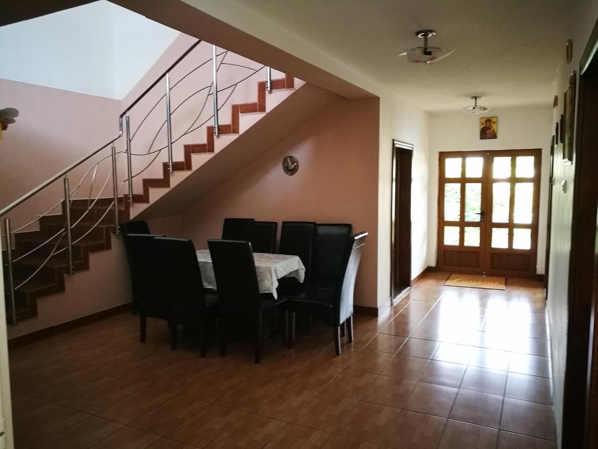 Pensiunea Ramona Cărpinişu Exteriör bild