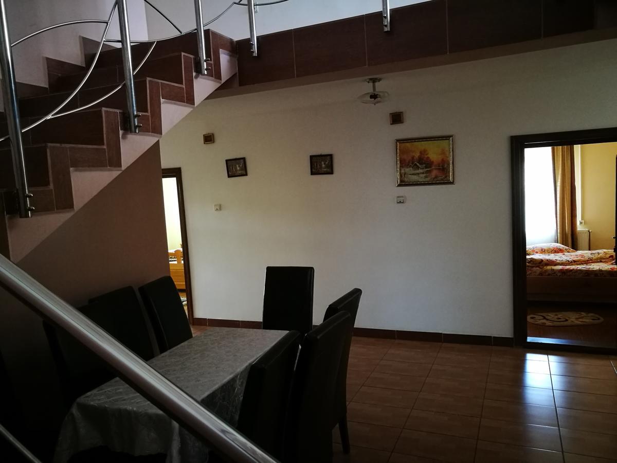 Pensiunea Ramona Cărpinişu Exteriör bild