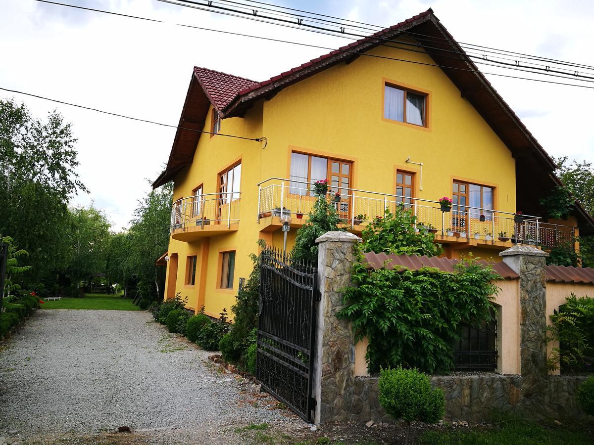 Pensiunea Ramona Cărpinişu Exteriör bild