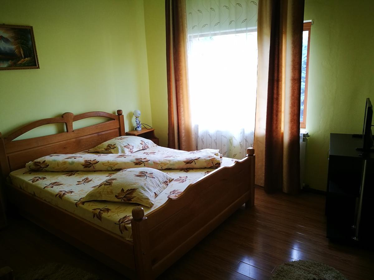 Pensiunea Ramona Cărpinişu Exteriör bild