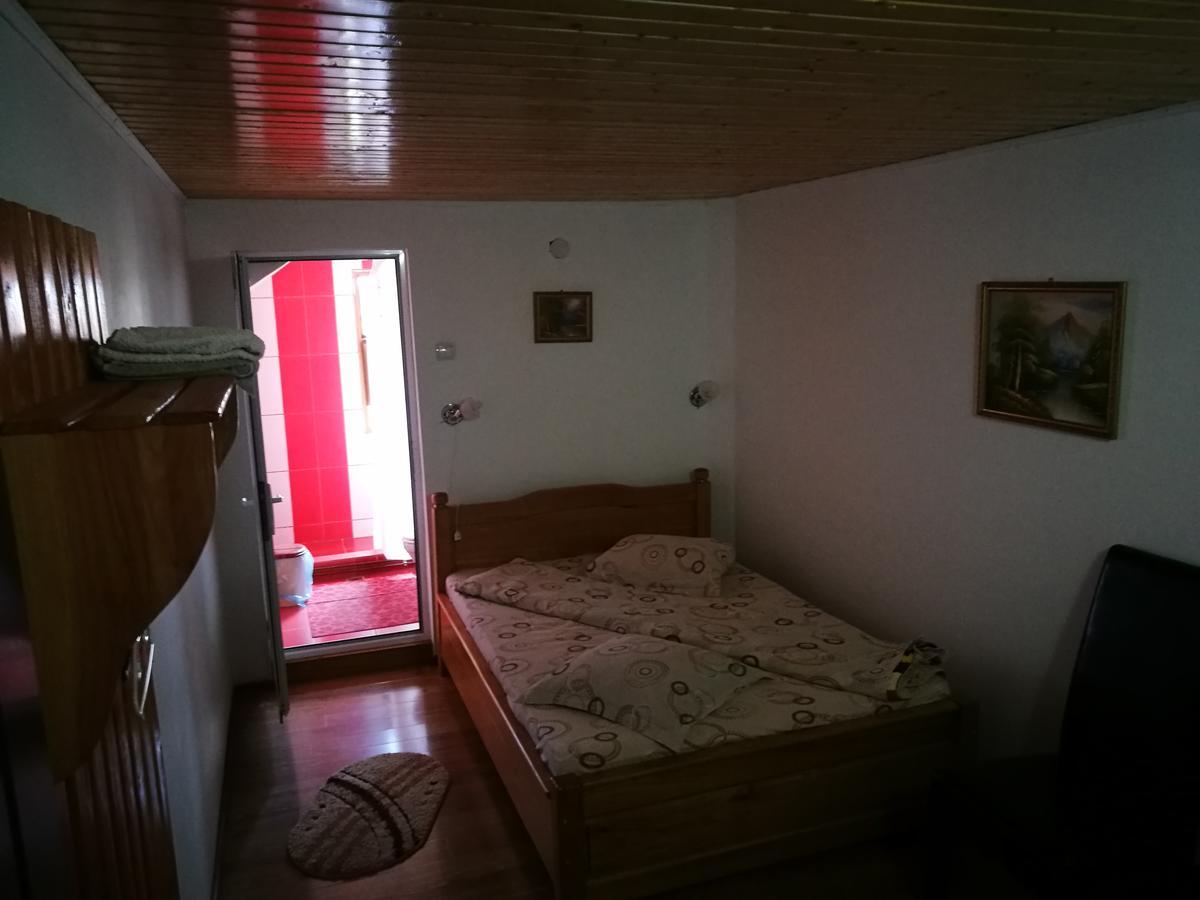 Pensiunea Ramona Cărpinişu Exteriör bild