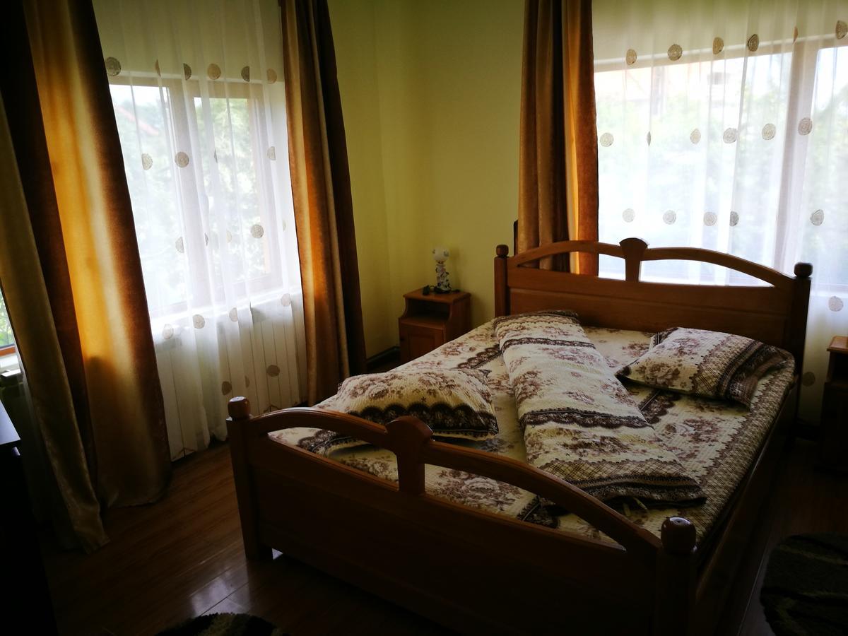 Pensiunea Ramona Cărpinişu Exteriör bild