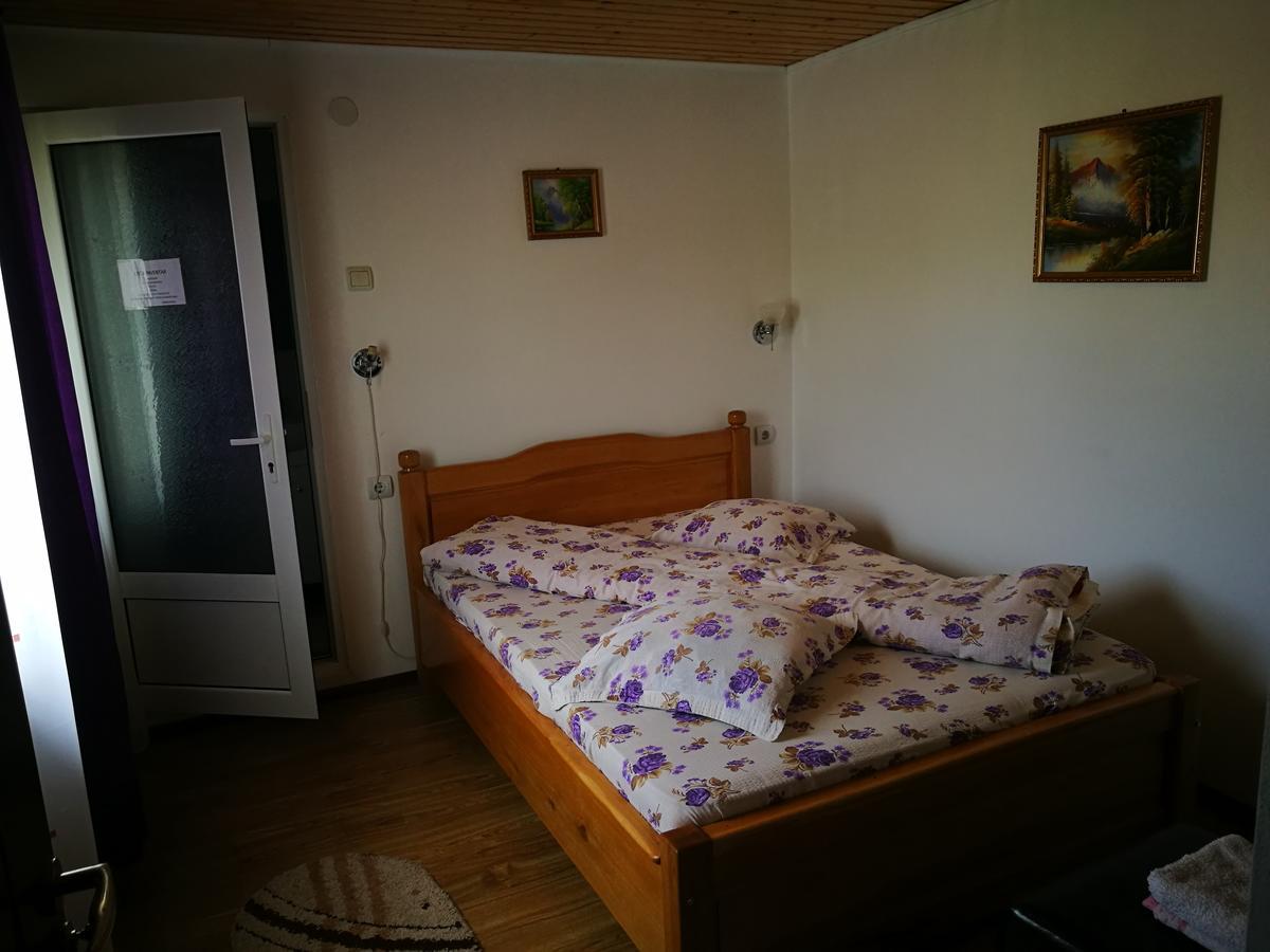 Pensiunea Ramona Cărpinişu Exteriör bild