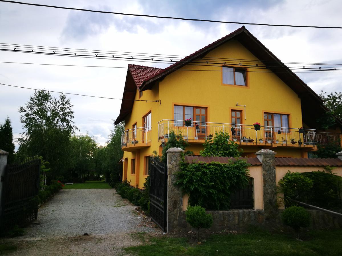 Pensiunea Ramona Cărpinişu Exteriör bild