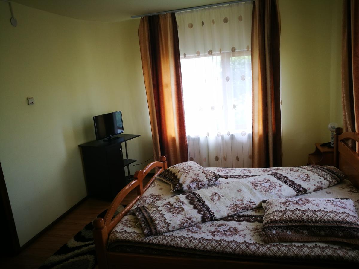 Pensiunea Ramona Cărpinişu Exteriör bild