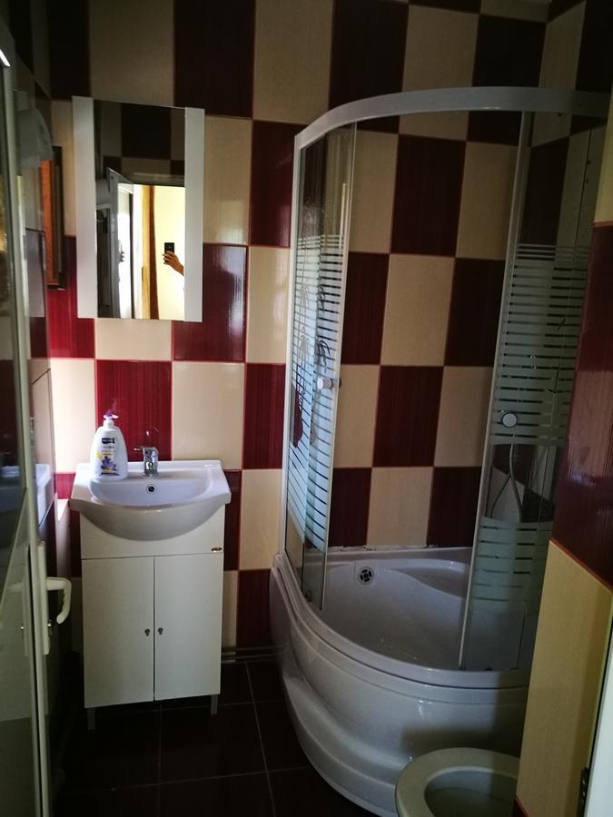 Pensiunea Ramona Cărpinişu Exteriör bild