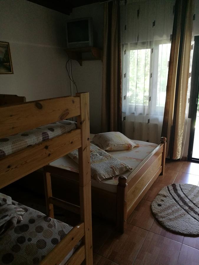 Pensiunea Ramona Cărpinişu Exteriör bild