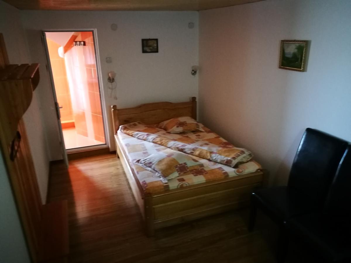 Pensiunea Ramona Cărpinişu Exteriör bild