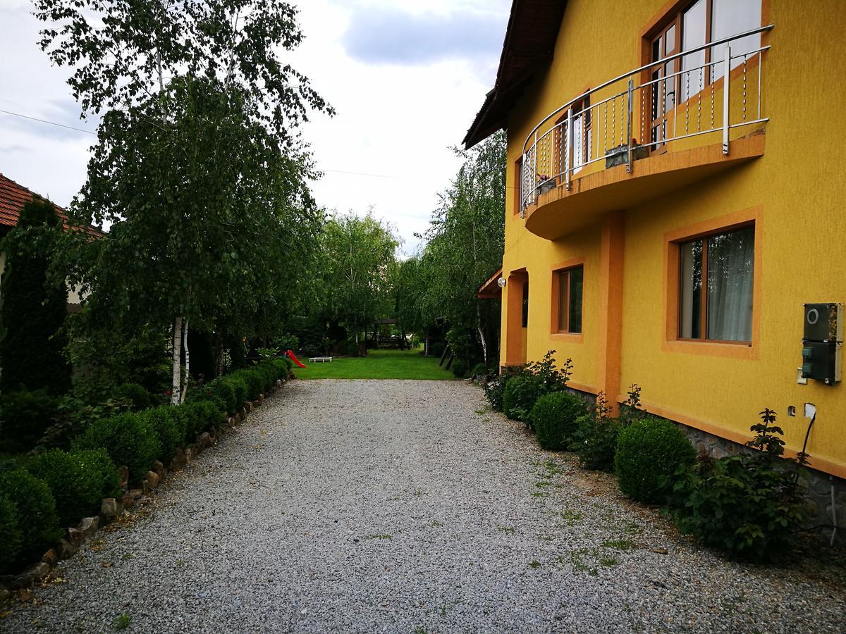 Pensiunea Ramona Cărpinişu Exteriör bild
