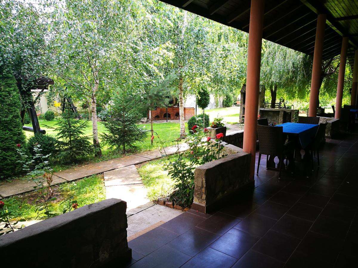 Pensiunea Ramona Cărpinişu Exteriör bild