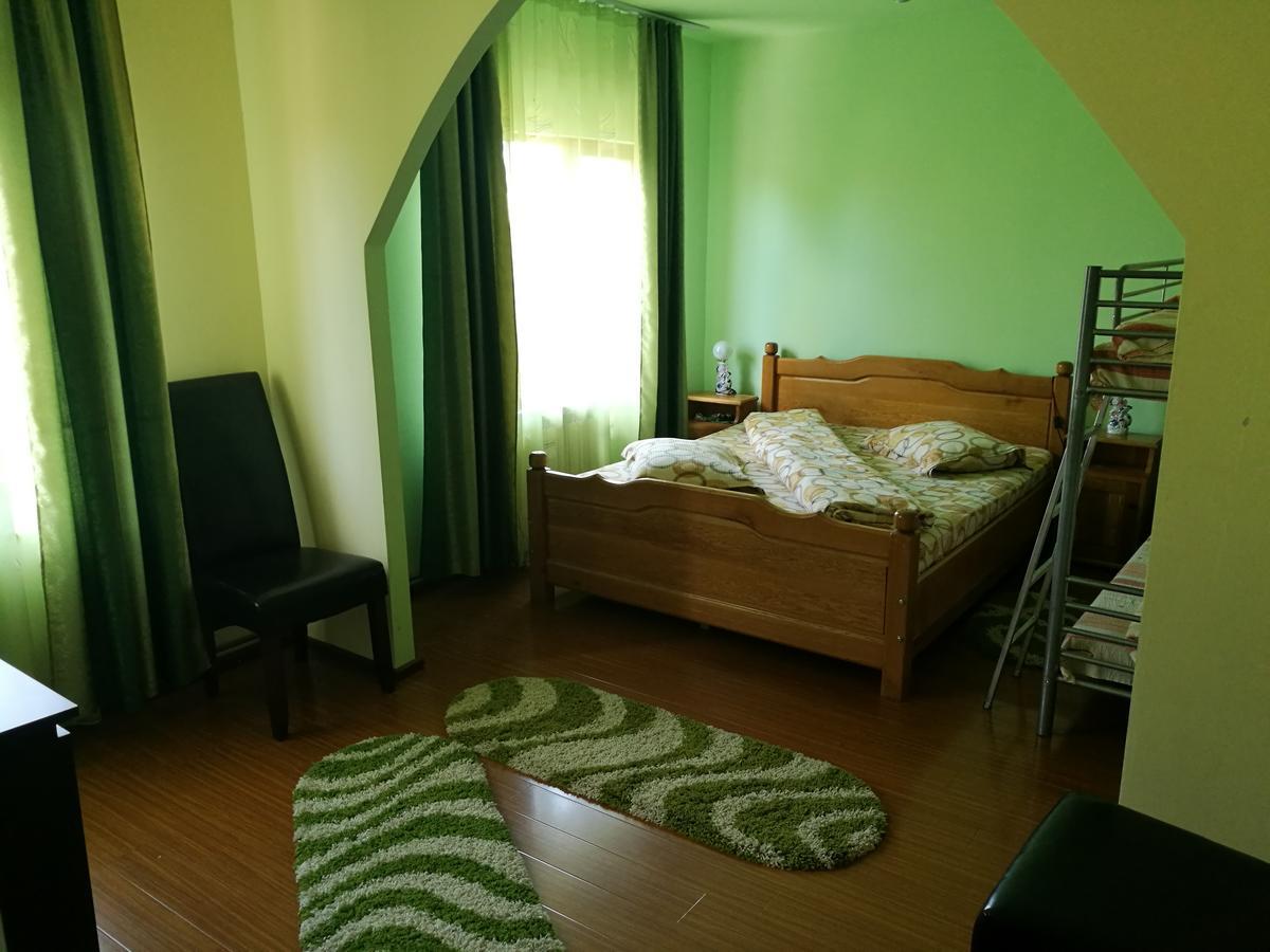 Pensiunea Ramona Cărpinişu Exteriör bild