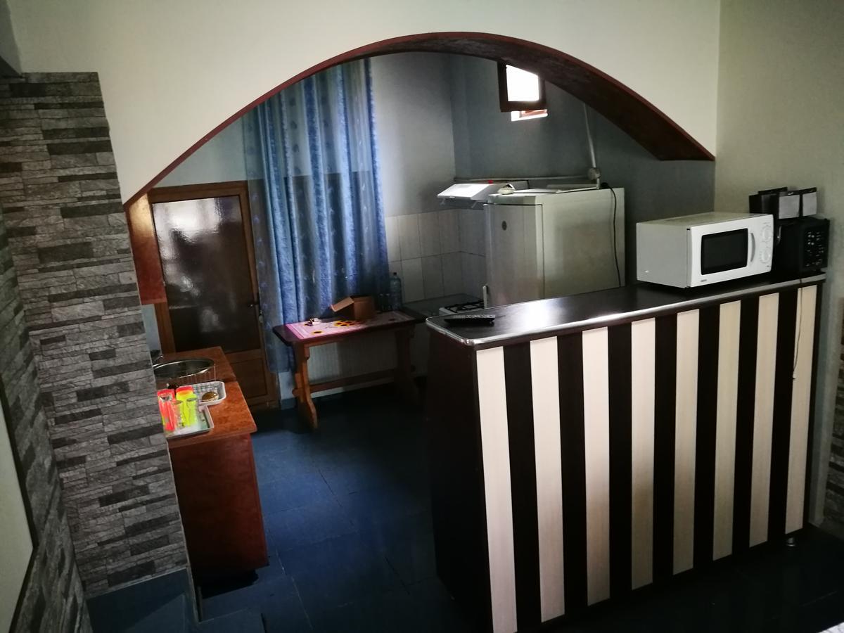 Pensiunea Ramona Cărpinişu Exteriör bild