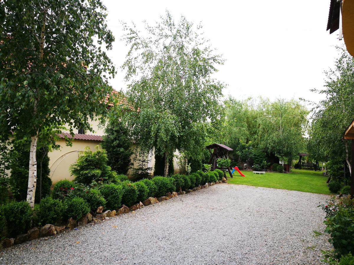 Pensiunea Ramona Cărpinişu Exteriör bild