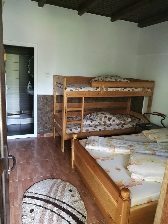 Pensiunea Ramona Cărpinişu Exteriör bild